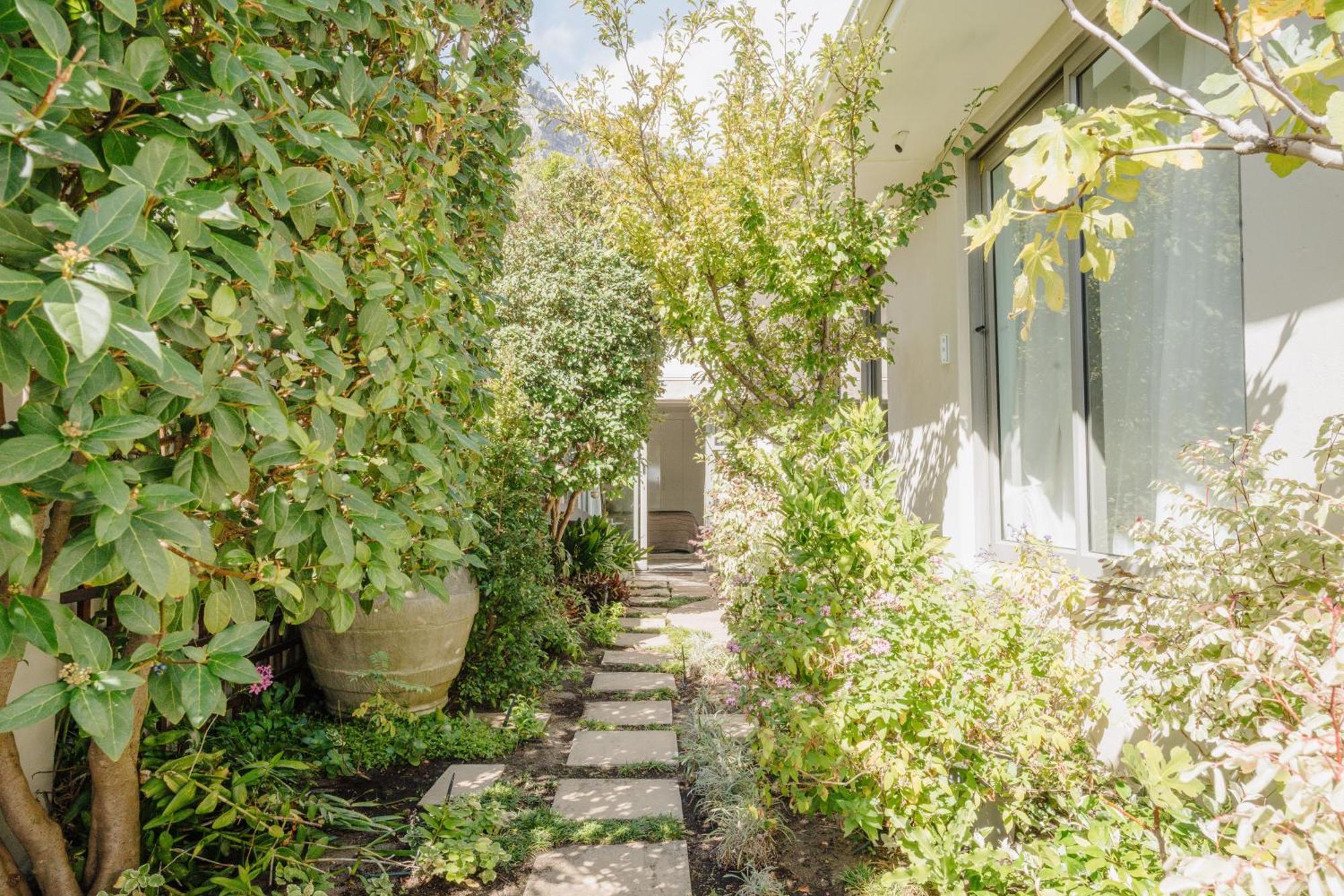 Echo Friendly Sunny Contemporary Garden Flat Διαμέρισμα Κέιπ Τάουν Εξωτερικό φωτογραφία